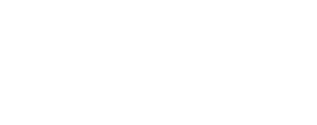 Logo Haitex Zucchetti